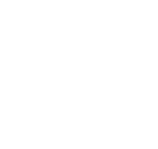 EV — логотип Эстер Воропаевой